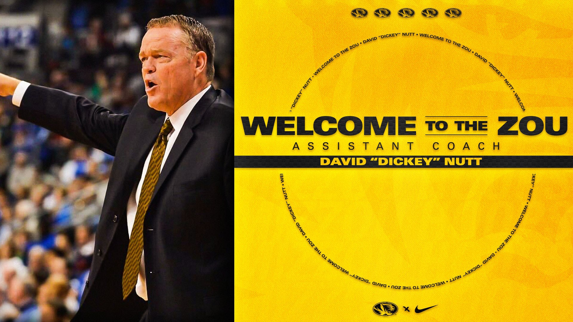 welcome to the zou david nut
