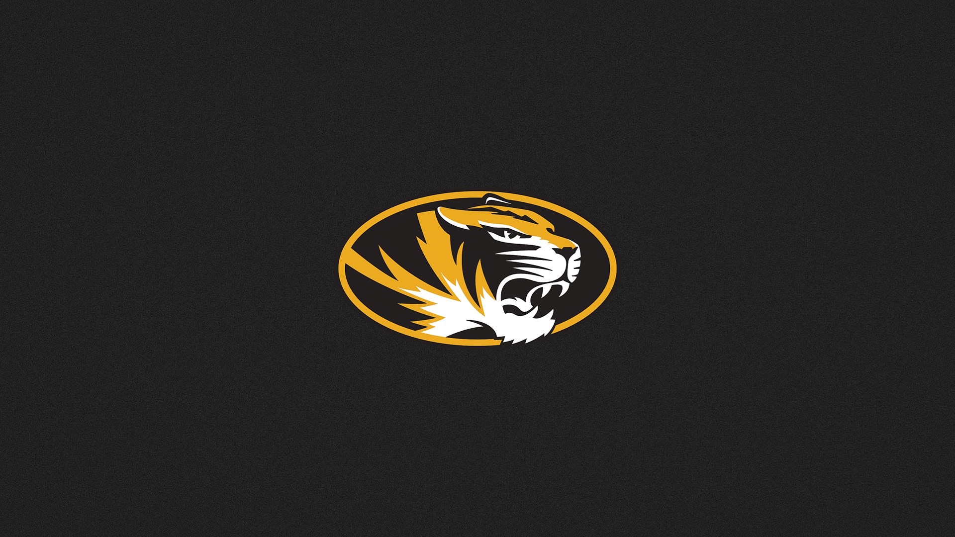 Tigerhead Logo_1920x1080